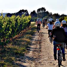 Vignobles Codorniu