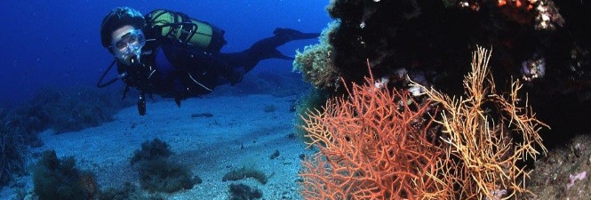 Buceo en Mataró