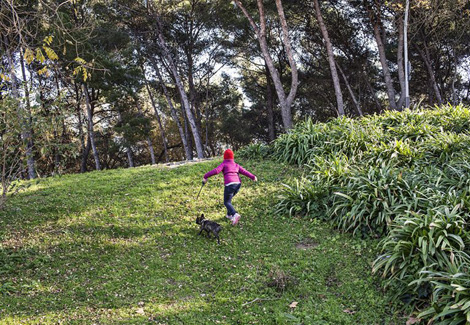 Parc de Barcelona