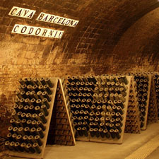 Codorniu wineries