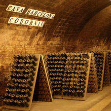 Caves Codorniu