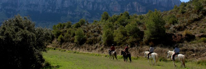 Horse riding