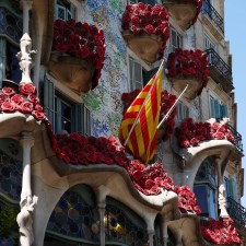Sant Jordi's Roses