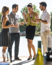 grup de gent brindant amb vi